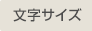 文字サイズ